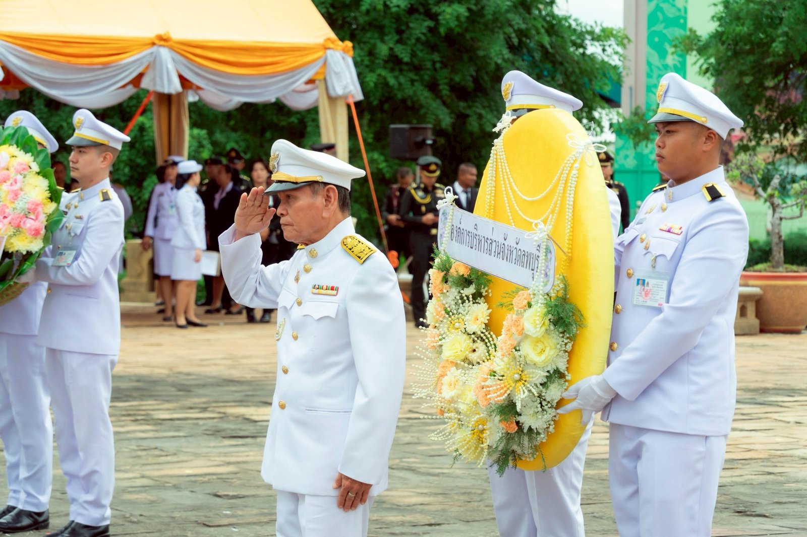 517516409 1151943703628697 1972799833661168985 n