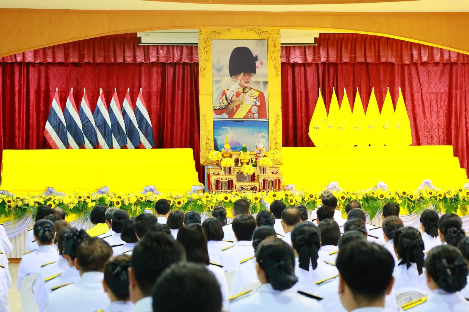 524619216 1165141852308882 1145076835042913243 n