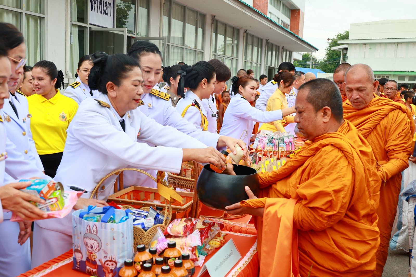 524904915 1165141892308878 6121592882531133097 n