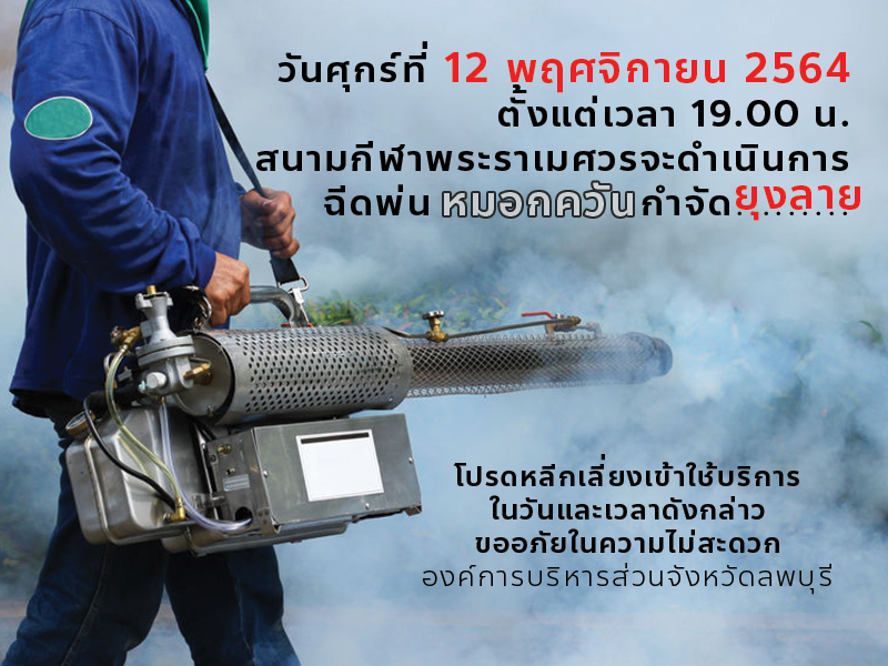 mosquito free 12112564