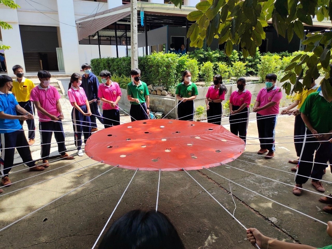 298593853 5508606035827861 6790331021979719818 n