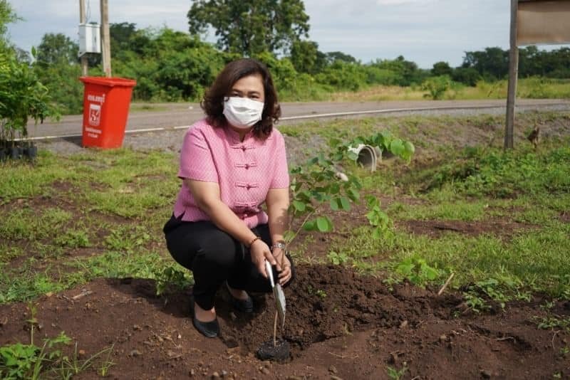 308338444 5624746150880515 6476621022119111896 n