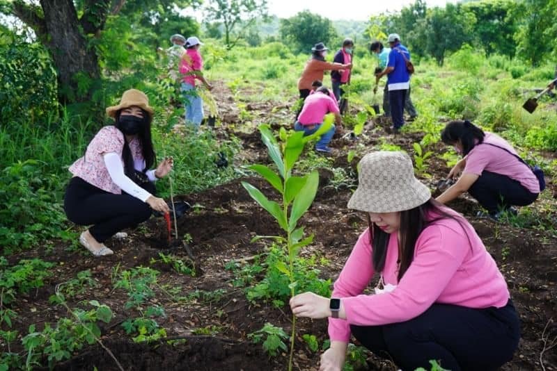 308340329 5624746540880476 4700474561637565982 n